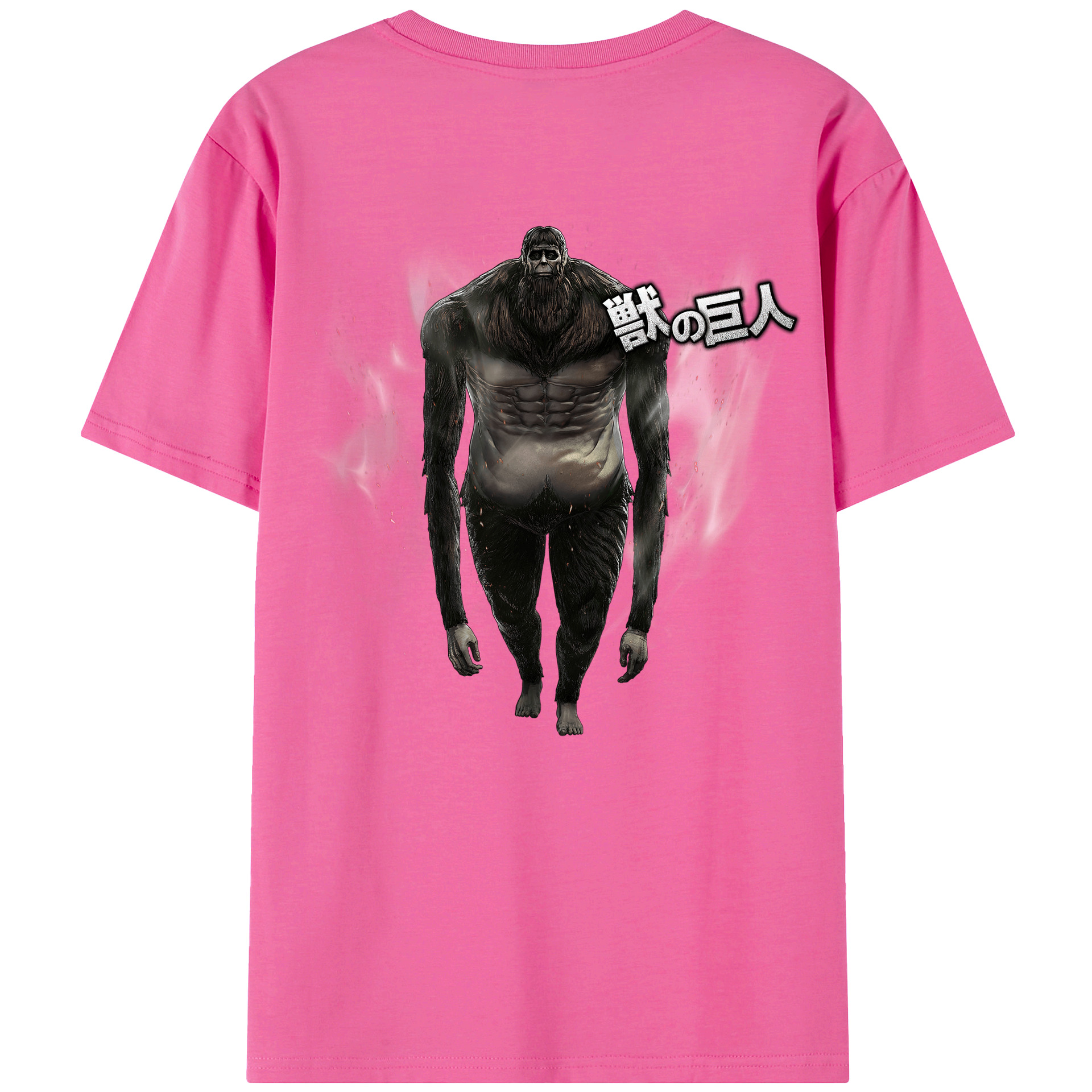 （画像用） 進撃の巨人 Attack on Titan レディース半袖Tシャツ(バックプリント)